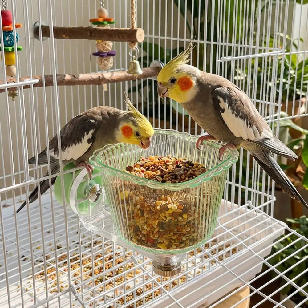 Magnetic Bird Feeder Cage Bowl – Transparent Anti-Splash Bird Cage Feeder Babs
