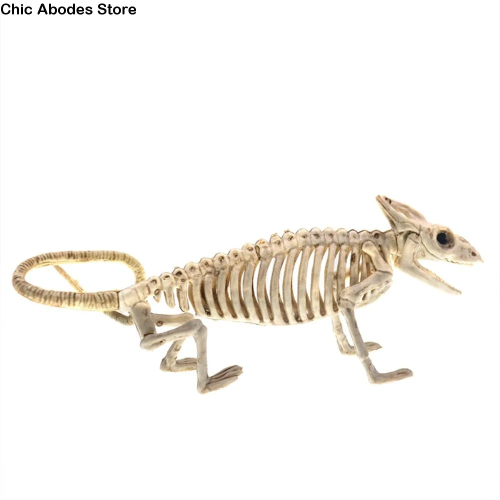 Halloween Skeleton Models – Bat, Lizard, Scorpion & Mouse Figures Halloween Skeleton Figure Babs