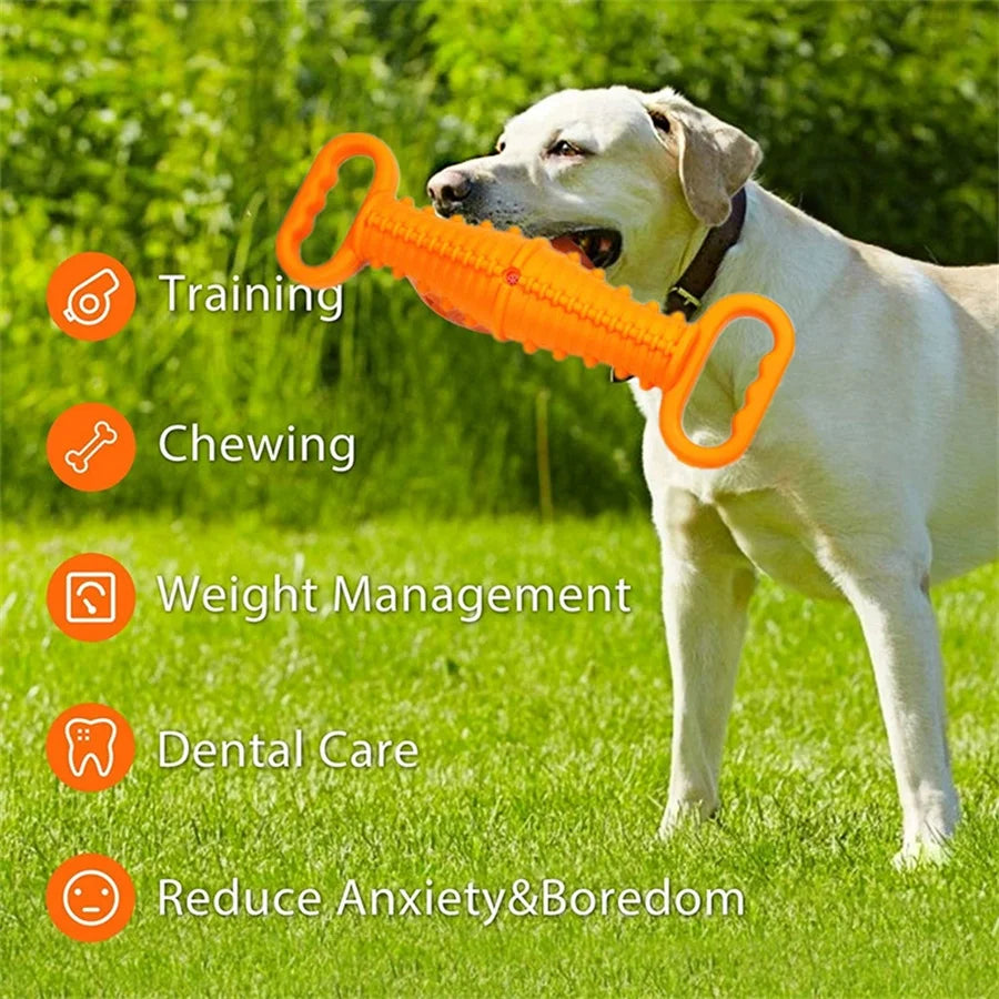 TPR Double Handle Pull Ring Dog Chew & Training Toy Dog Chew Toy Babs