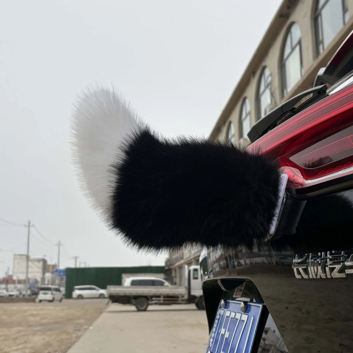 Electric Wagging Faux Fox Tail Car Ornament | Remote Control Car Exterior Ornament Babs 2