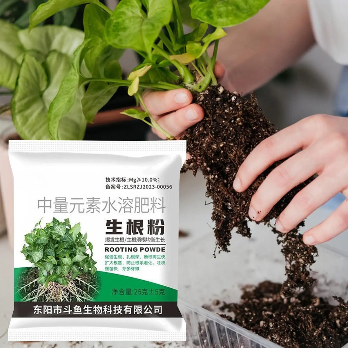 Rooting Powder Plant Root Stimulator – Cuttings, Trees & Veggies Rooting Powder Babs