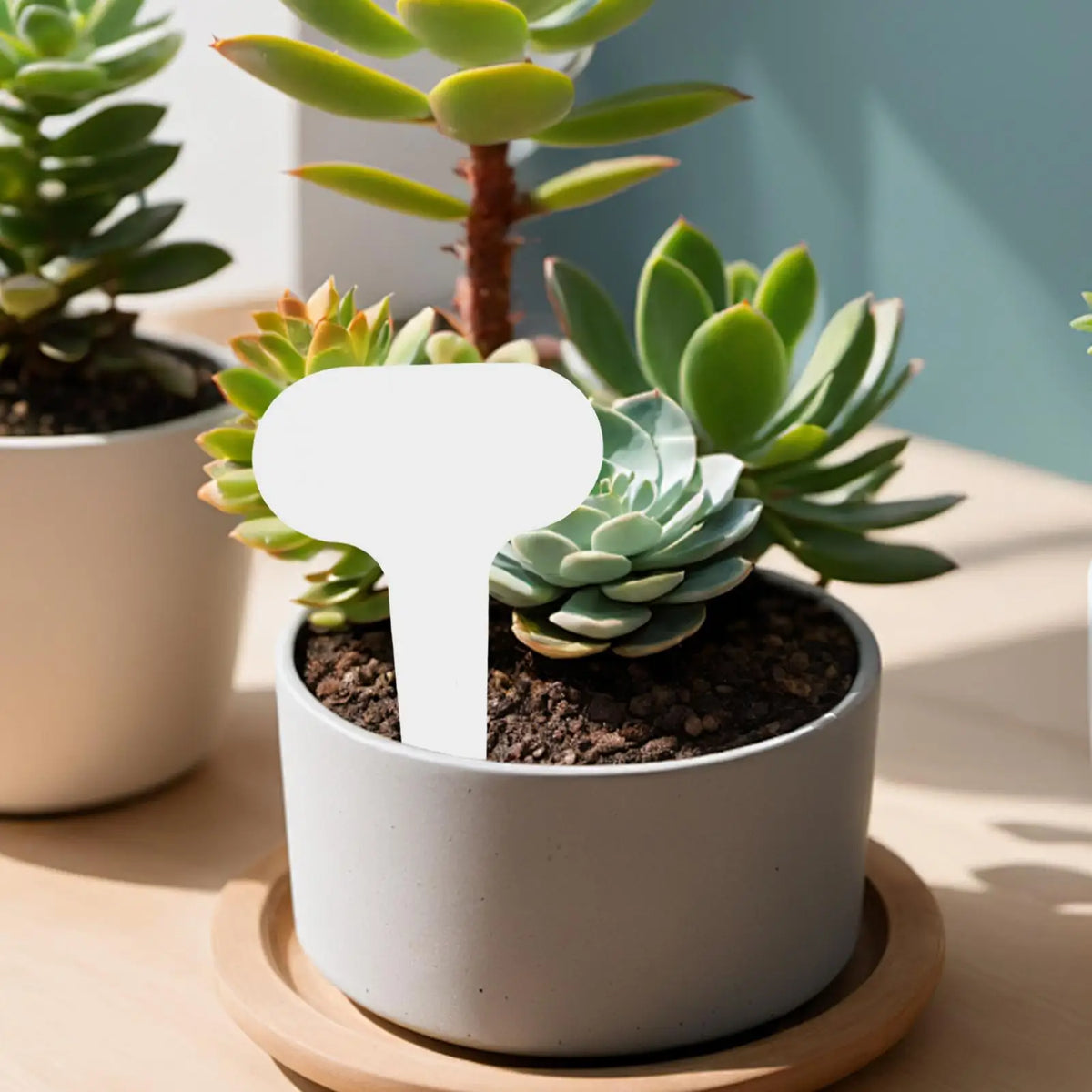 100pcs PVC Garden Plant Tags – Waterproof Labeling Markers Garden Plant Markers Babs