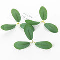 50Pcs Artificial Silk Rose Leaves – Wedding, Home & DIY Décor Artificial Silk Leaves Babs green 50pieces