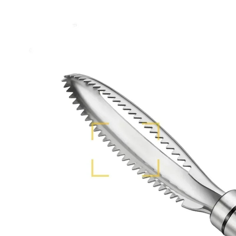 Stainless Steel Fish Scale Scraper & Fish Knife Kitchen Tool Fish Scale Scraper Babs