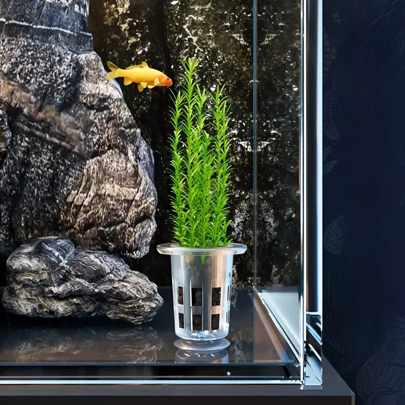 5-Pack Clear Aquarium Planting Cups with Suction Base Aquarium Planting Cups Babs