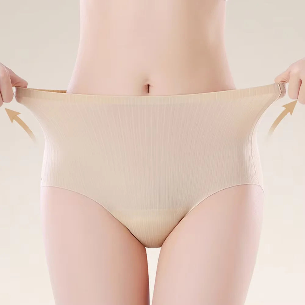 3-Pack Seamless Padded Camel Toe Proof Briefs for Gym & Yoga Padded Seamless Briefs Babs