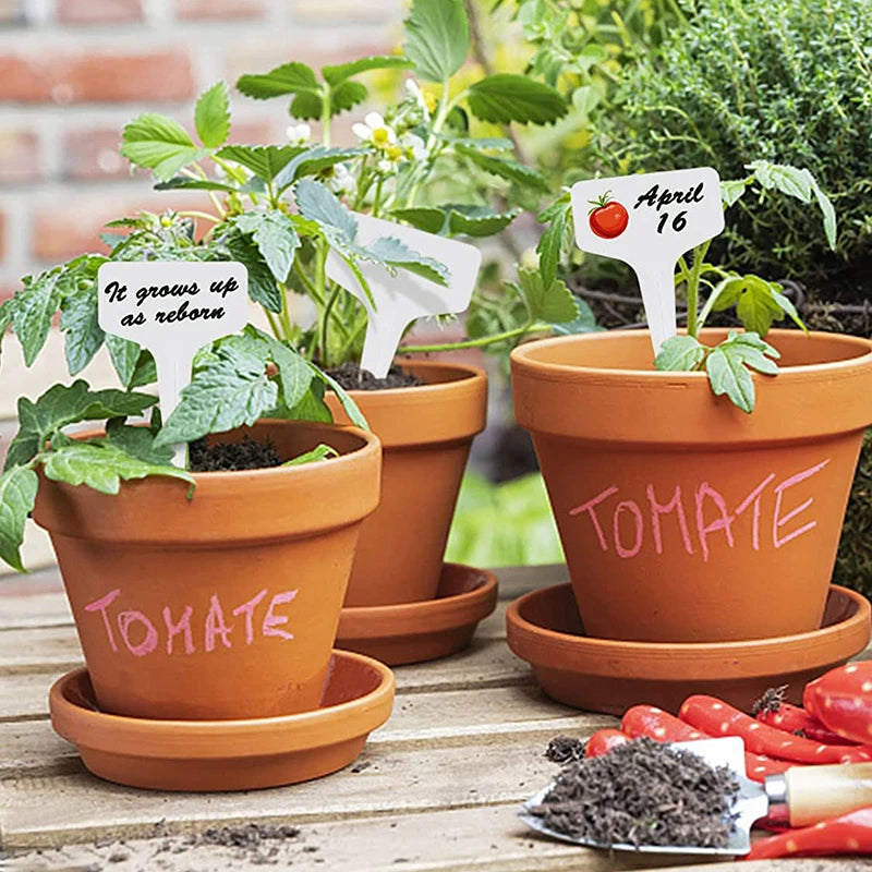 Waterproof Plastic Plant Labels – Garden Marker Tags Garden Plant Labels Babs