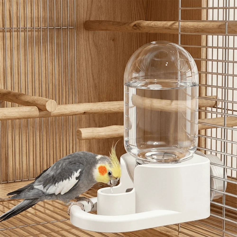 Automatic Wall-Mounted Bird Water Dispenser for Parrots Bird Water Dispenser Babs