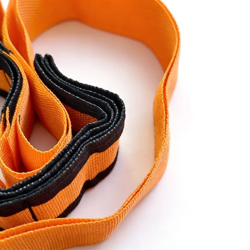 Heavy-Duty Furniture Moving Carrying Straps – Reusable Furniture Moving Straps Babs