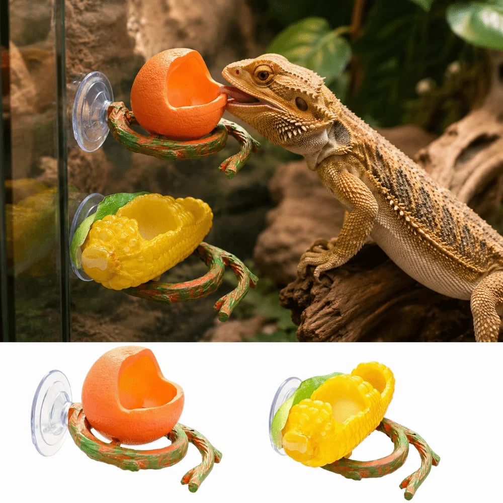 Resin Lizard Feeder Bowl with Suction Cup | Reptile Dish Reptile Feeding Bowl Babs