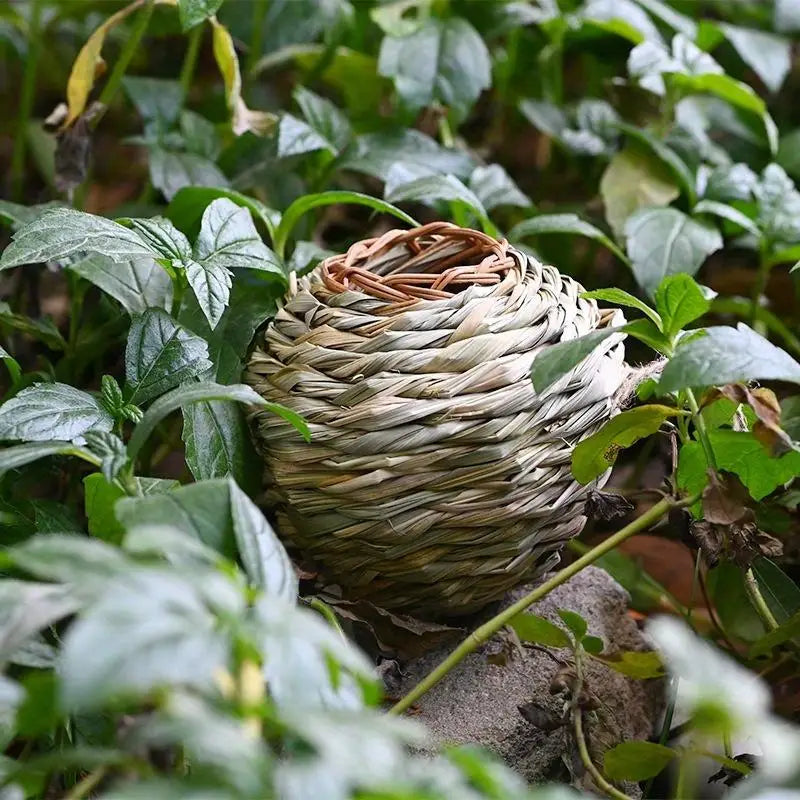 2pcs Round Straw Bird Nest – Parrot Toy & Garden Ornament Bird Nest Toy Babs
