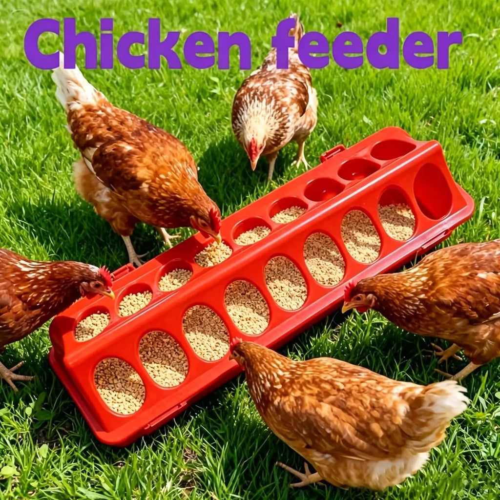 18-Hole Double Row Poultry Ground Feeder Trough – Red Poultry Feeder Trough Babs