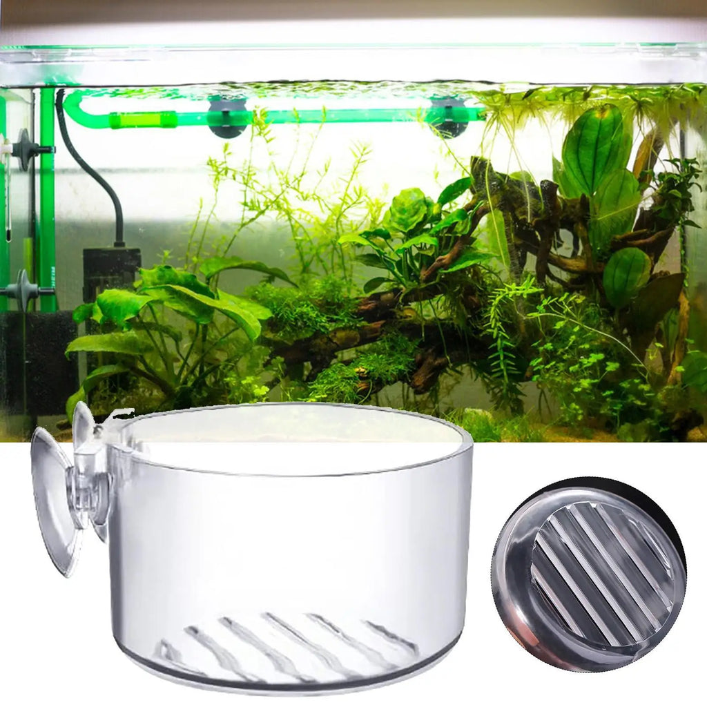 Acrylic Aquarium Plant Cup with Suction Holder | Fish Tank Pot Aquarium Plant Holder Babs