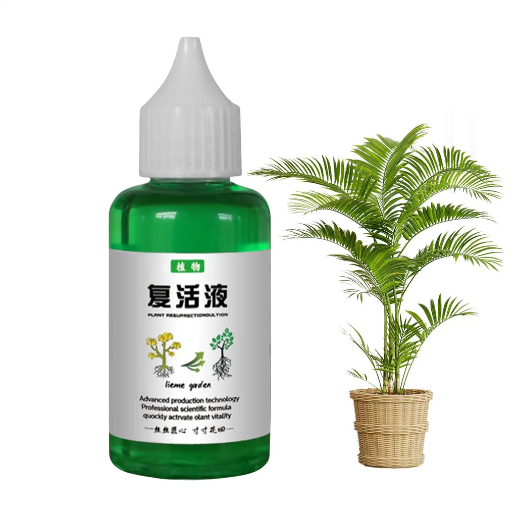 50ml Seaweed Organic Liquid Fertilizer – Plant Nutrient Solution Liquid Plant Fertilizer Babs