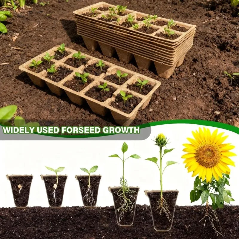 10-Cell Biodegradable Seed Starter Tray | Eco Paper Pulp Nursery Seed Starter Tray Babs