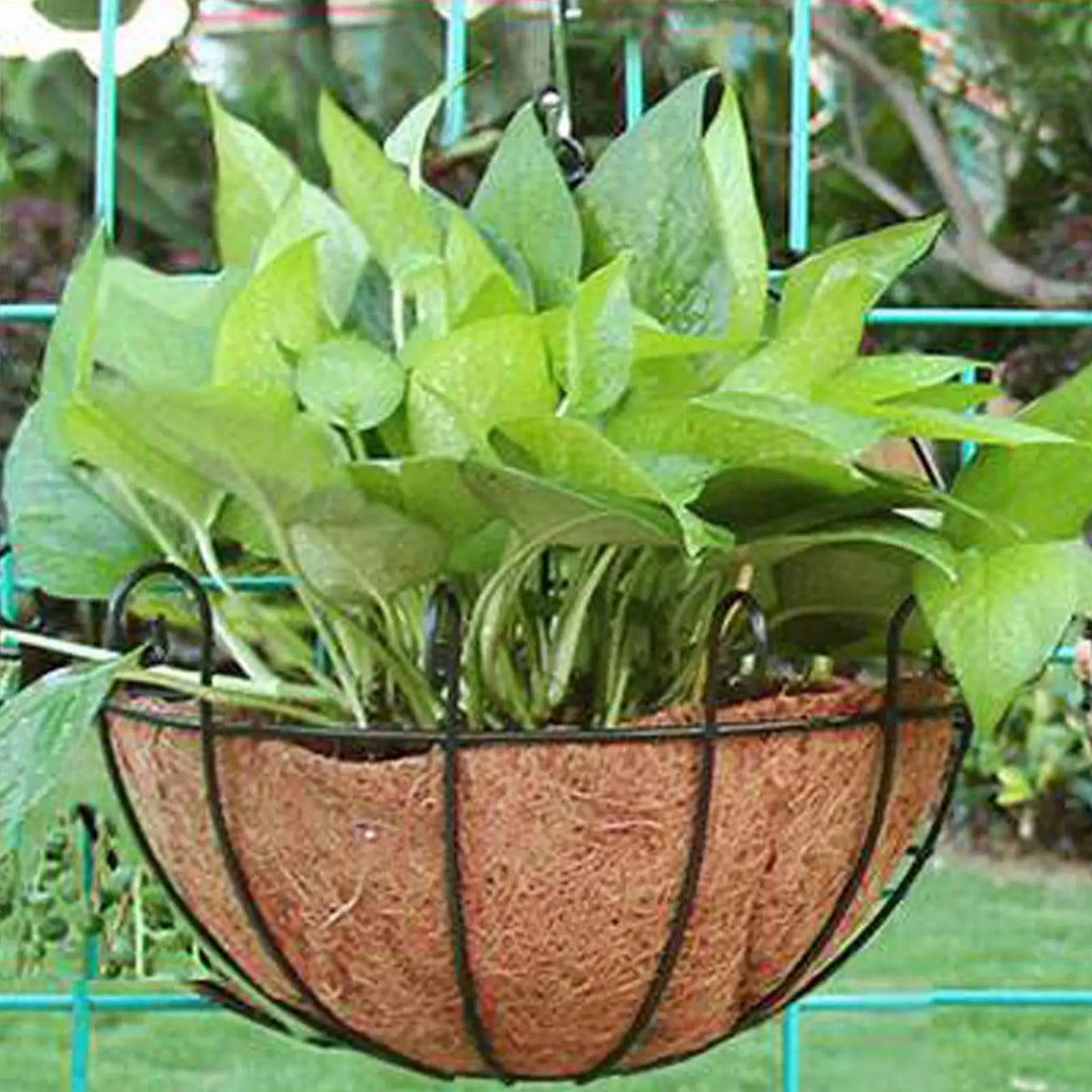 Coco Coir Hanging Basket Liner – 3 Sizes, Natural Fiber Basket Coir Liner Babs
