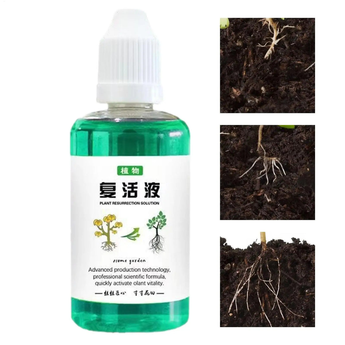 50ml Plant Nutrient Liquid – Root Booster & Growth Fertilizer Liquid Plant Fertilizer Babs 50ml