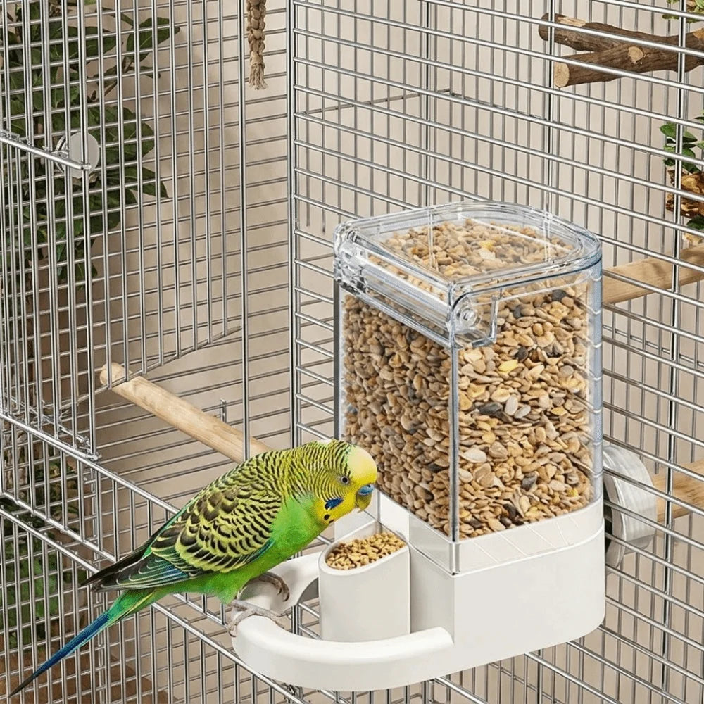 Automatic Wall-Mounted Bird Water Dispenser for Parrots Bird Water Dispenser Babs