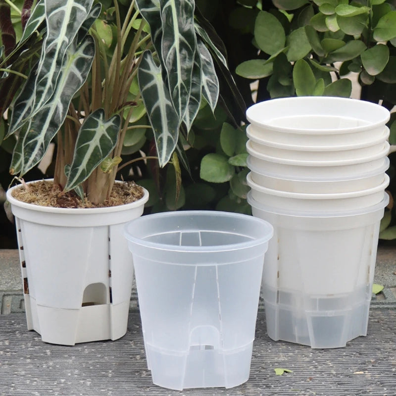 Transparent Self-Watering Orchid Planter – Breathable Lazy Pot Self-Watering Planter Babs