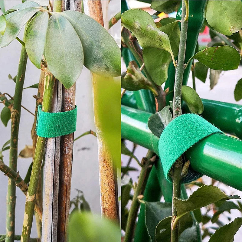 3-Roll Nylon Green Garden Twine Plant Ties – Hook & Loop Garden Plant Ties Babs
