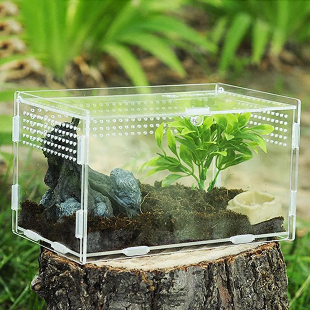Acrylic Reptile Breeding Box – Snake, Lizard & Insect Terrarium Reptile Breeding Box Babs