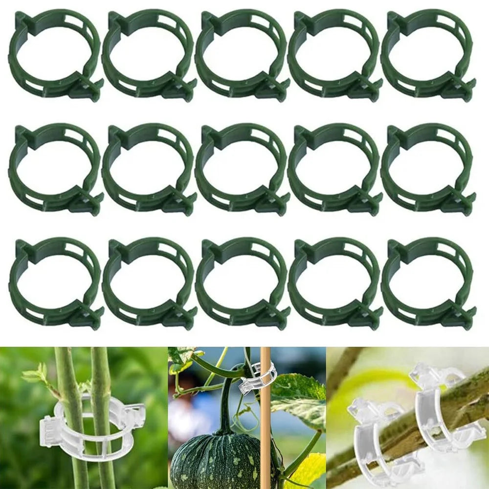 Plastic Plant Support Clips – Tomato & Vine Garden Clips Garden Plant Clips Babs