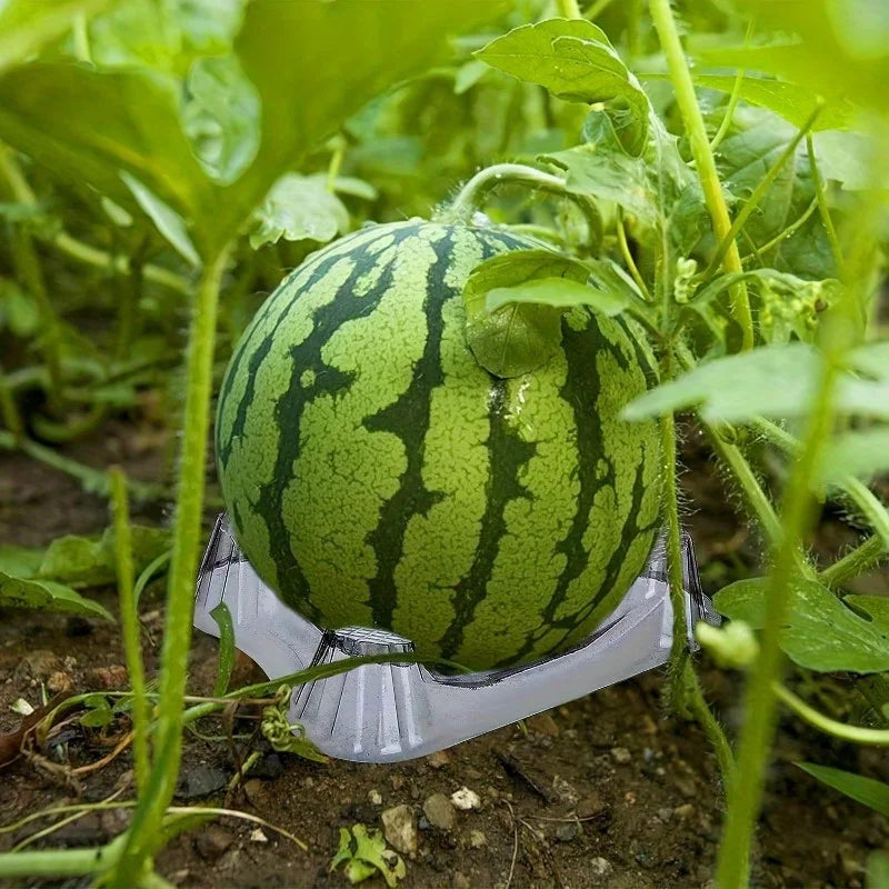 40pcs PVC Melon Pads – Fruit & Vegetable Anti-Rot Holders Fruit Protection Mats Babs