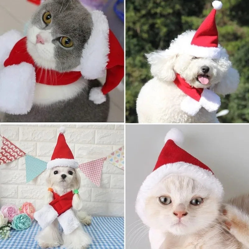 Cat Christmas Hat & Scarf Set – Holiday Pet Costume & Photo Prop Pet Holiday Costume Babs