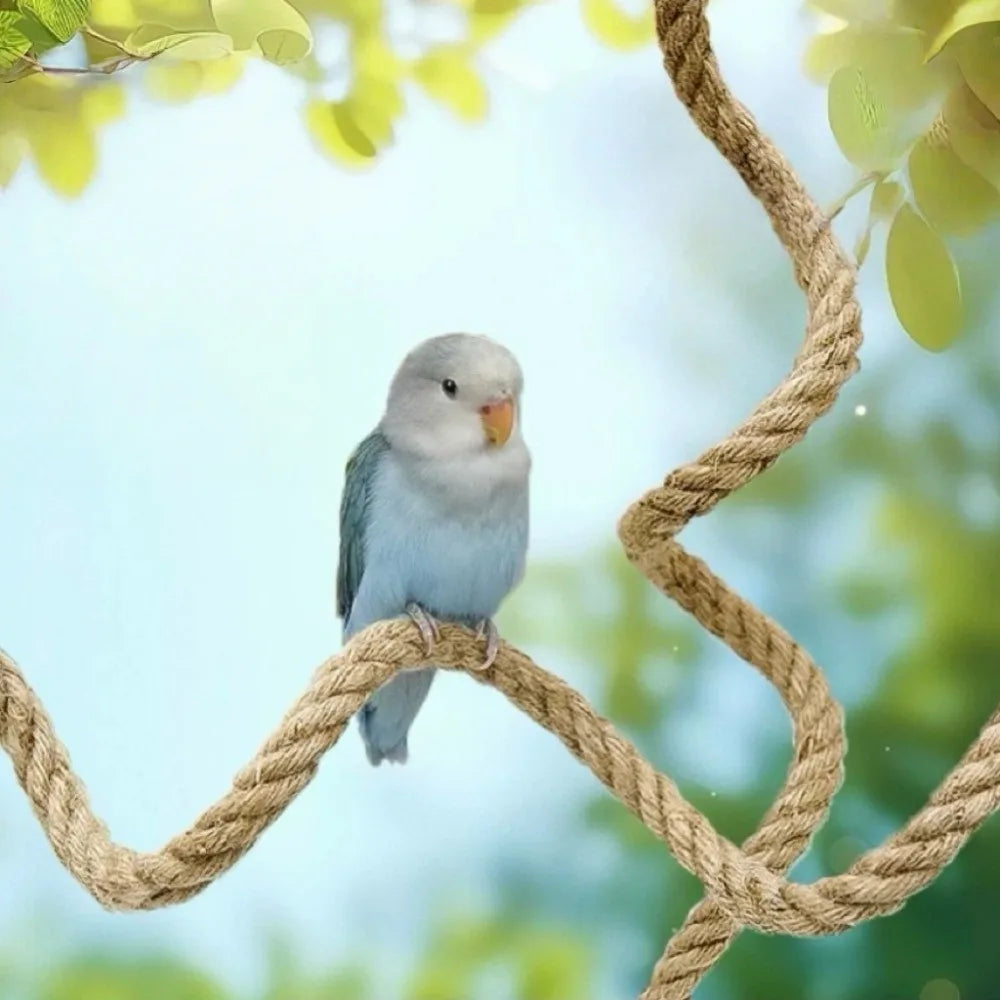 Bendable Linen Rope Bird Perch with Suction Cup – 4 Sizes Bird Perch Babs