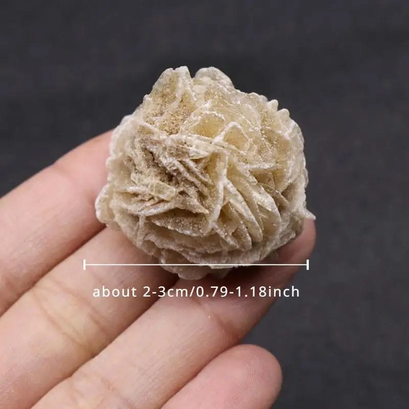 Desert Rose Selenite Stone – Natural Crystal Mineral Specimen Crystal Mineral Specimen Babs