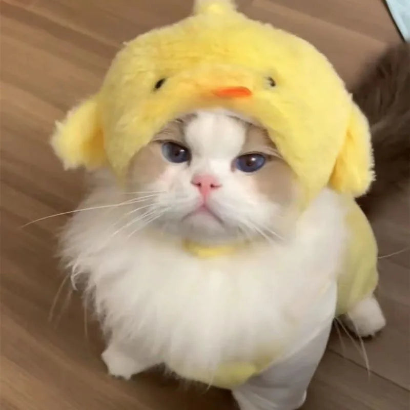 Plush Cat Headpieces – Fun & Cute Pet Hair Accessories Pet Hair Accessory Babs