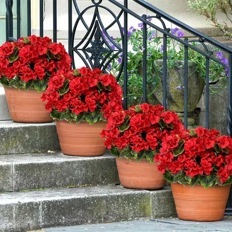 Silk Begonia Geranium Artificial Flower Arrangement – Home Decor Artificial Flower Arrangement Babs