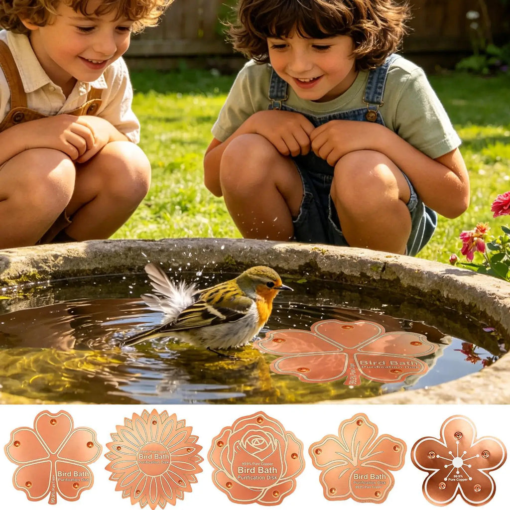 Copper Bird Bath Purification Disc – All-Season Backyard Bird Bath Purifier Babs