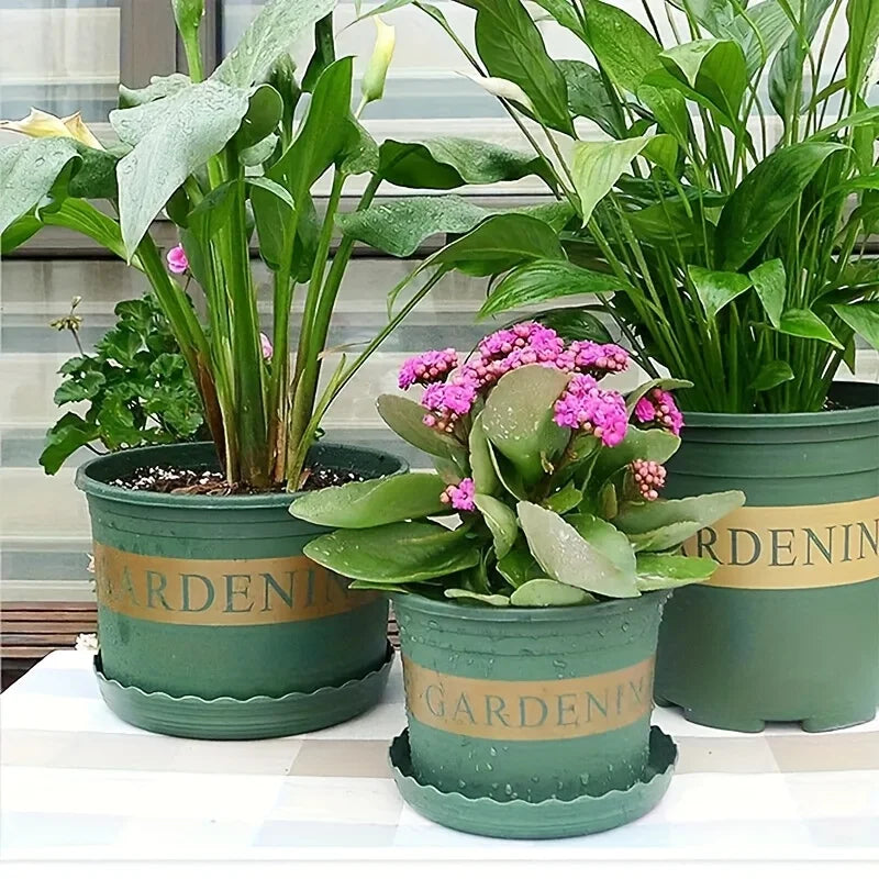 4-Pack Flower Pot Drip Trays for Succulents & Indoor Plants Plant Drip Trays Babs