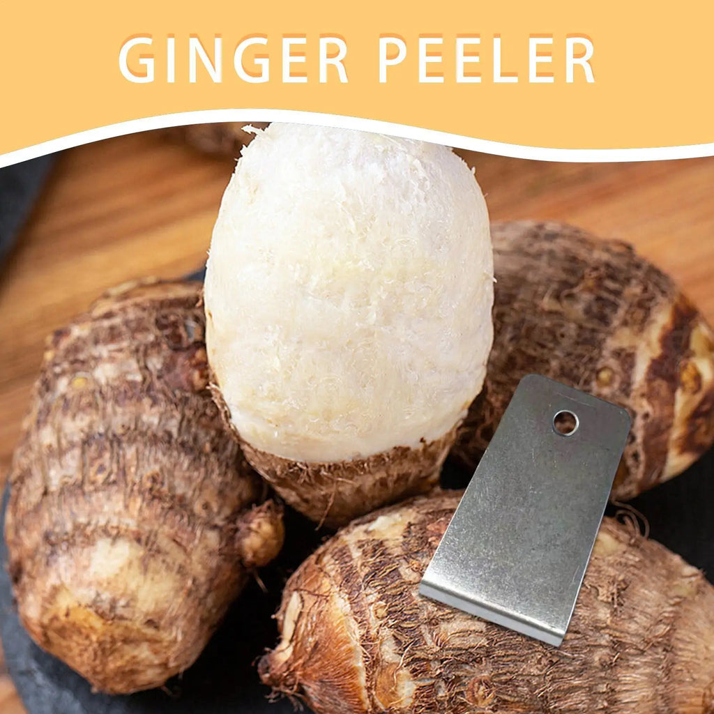Manual Stainless Steel Peeler for Ginger, Garlic & Veggies Vegetable Peeler Babs