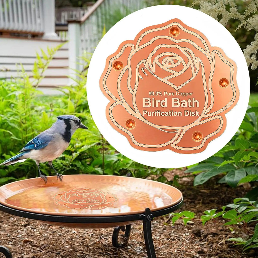 Copper Bird Bath Purification Disc – All-Season Backyard Bird Bath Purifier Babs