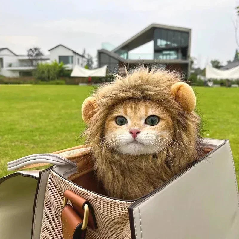 Lion Mane Pet Hat – Cat & Dog Halloween Christmas Costume Pet Costume Hat Babs