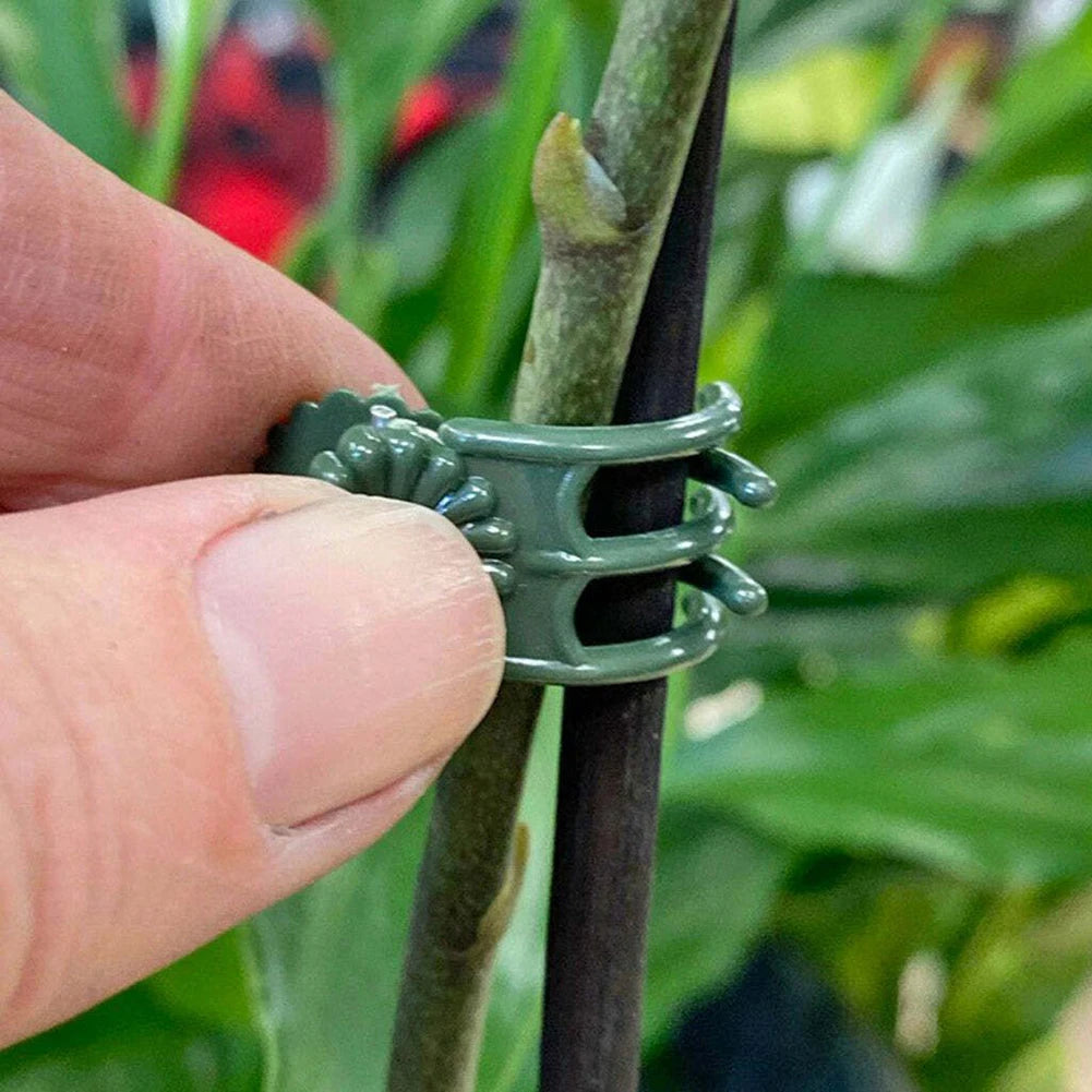 Plant Stem Clips – Orchid & Vine Support Stakes 20/40/100 Pcs Garden Plant Clips Babs