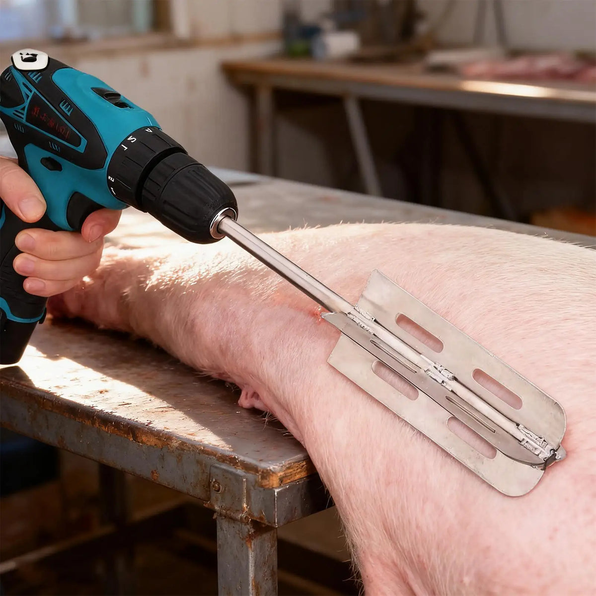 Stainless Steel Manual Hog Hair Shaver – Livestock Dehairing Tool Livestock Dehairing Tool Babs