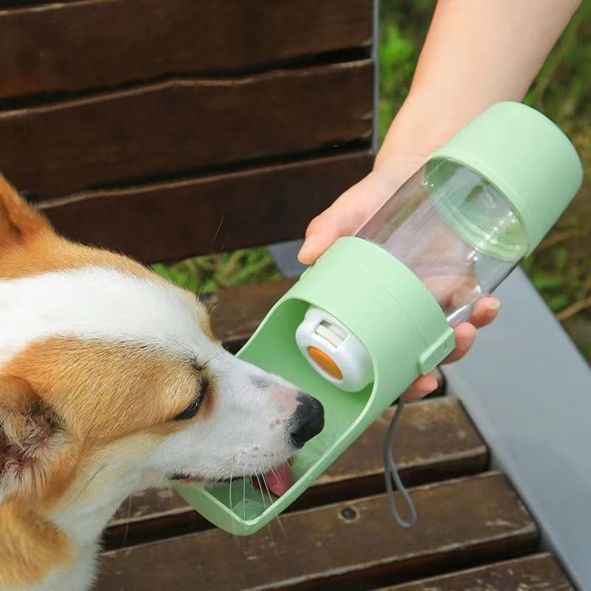 Portable 500ml Pet Water & Food Bottle Bowl for Dogs & Cats Pet Travel Bottle Babs