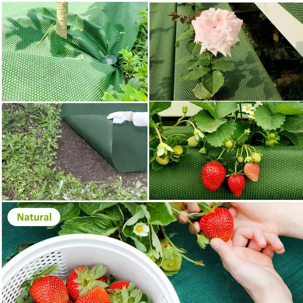 Perforated Weed Barrier Cloth – Breathable Non-Woven Garden Fabric Weed Barrier Fabric Babs
