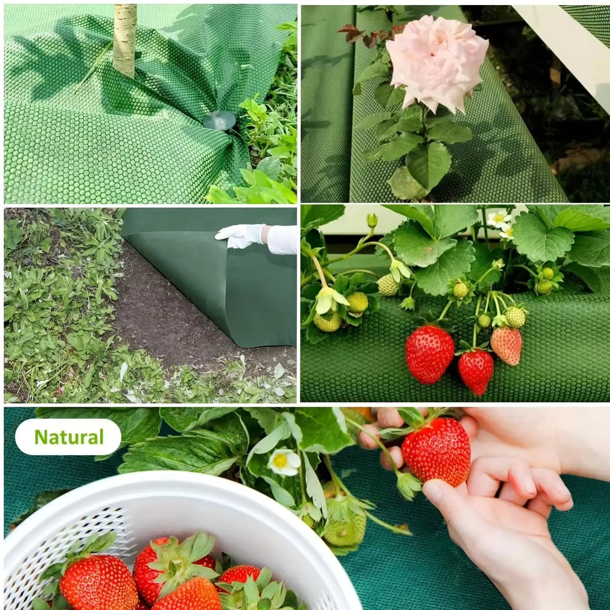 Perforated Weed Barrier Cloth – Breathable Non-Woven Garden Fabric Weed Barrier Fabric Babs