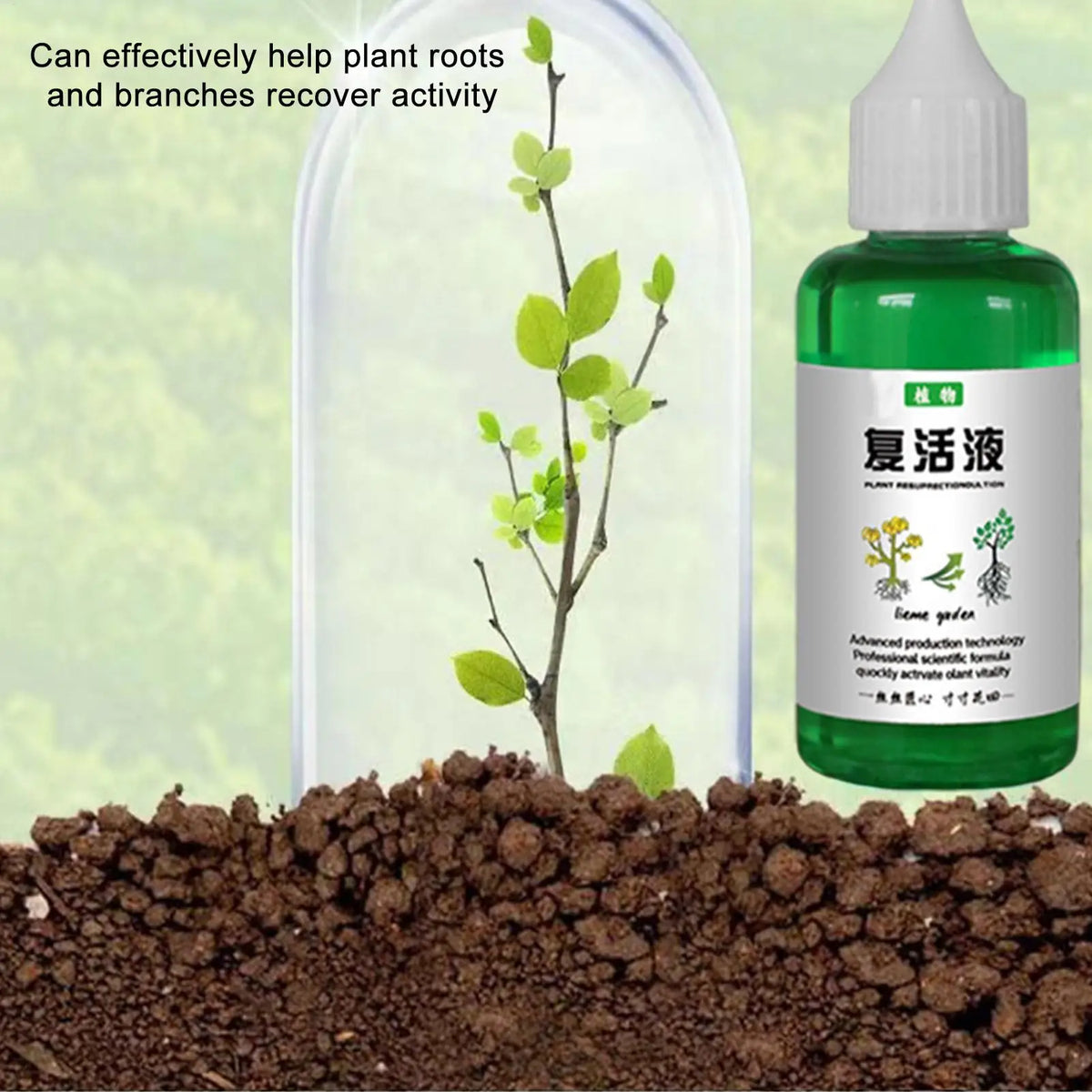 50ml Seaweed Organic Liquid Fertilizer – Plant Nutrient Solution Liquid Plant Fertilizer Babs