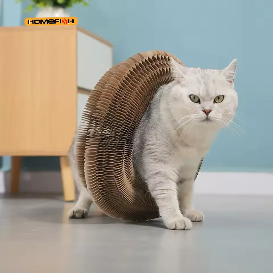 Organ Cat Scratching Board – Corrugated Claw Grinding Nest Toy Cat Scratching Board Babs