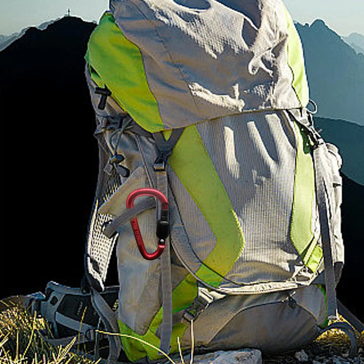 D-Shape Aluminum Carabiner Clip & Paracord Tensioner | Camping Carabiner Clip Babs