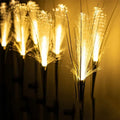 Solar Pampas Reed Garden Light – Warm LED, IP65 Waterproof Solar Garden Light Babs warm light