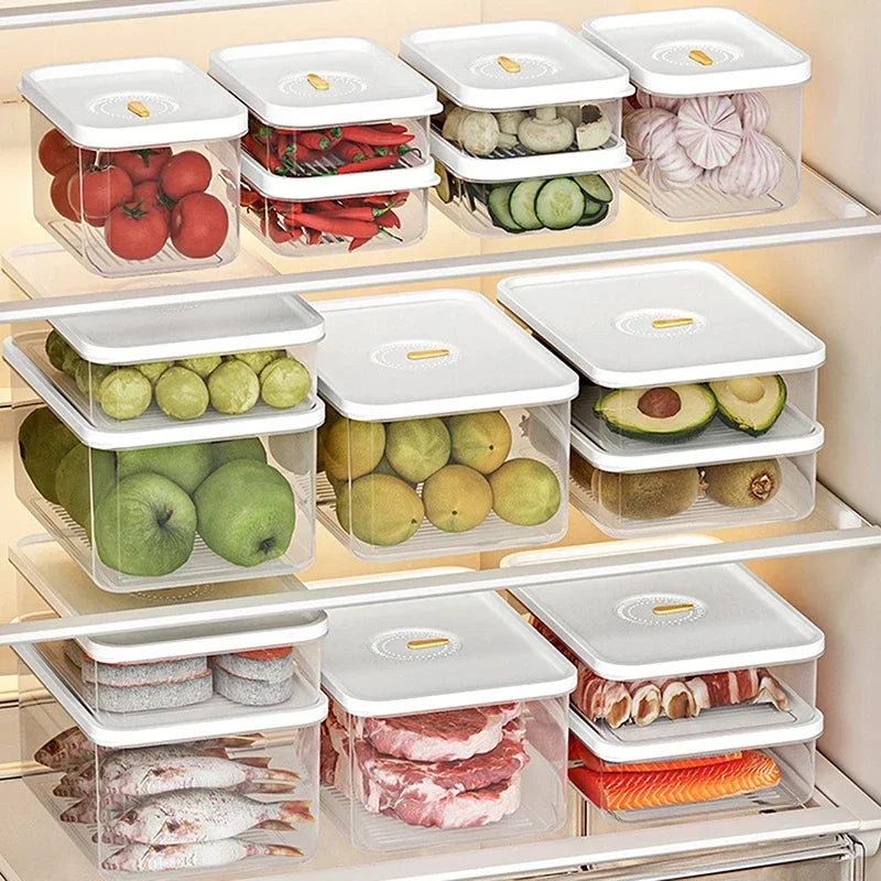 Lunch Meat & Cheese Keeper Container – Fridge Organizer Box Food Storage Container Babs