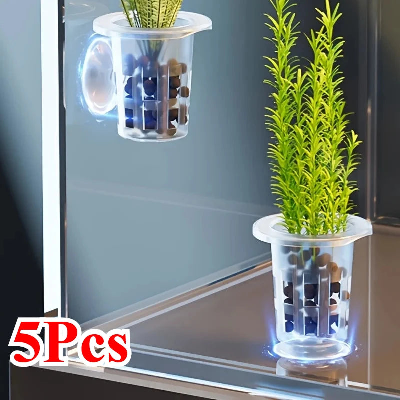 5-Pack Clear Aquarium Planting Cups with Suction Base Aquarium Planting Cups Babs