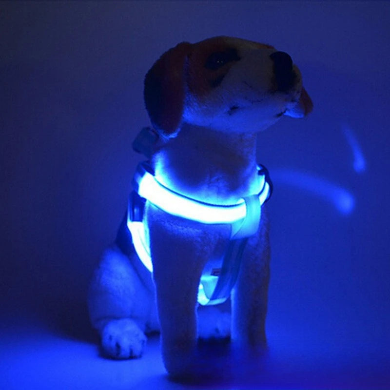 LED Light-Up Dog Leash Harness | USB Rechargeable Glow Walk LED Dog Leash Babs Navy Blue Rechargeable version 4
