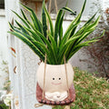 Cute Resin Face Succulent Planter – Rocking Chair Figurine Pot Decorative Succulent Planter Babs A